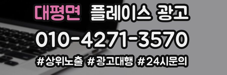 대평면 플레이스 광고