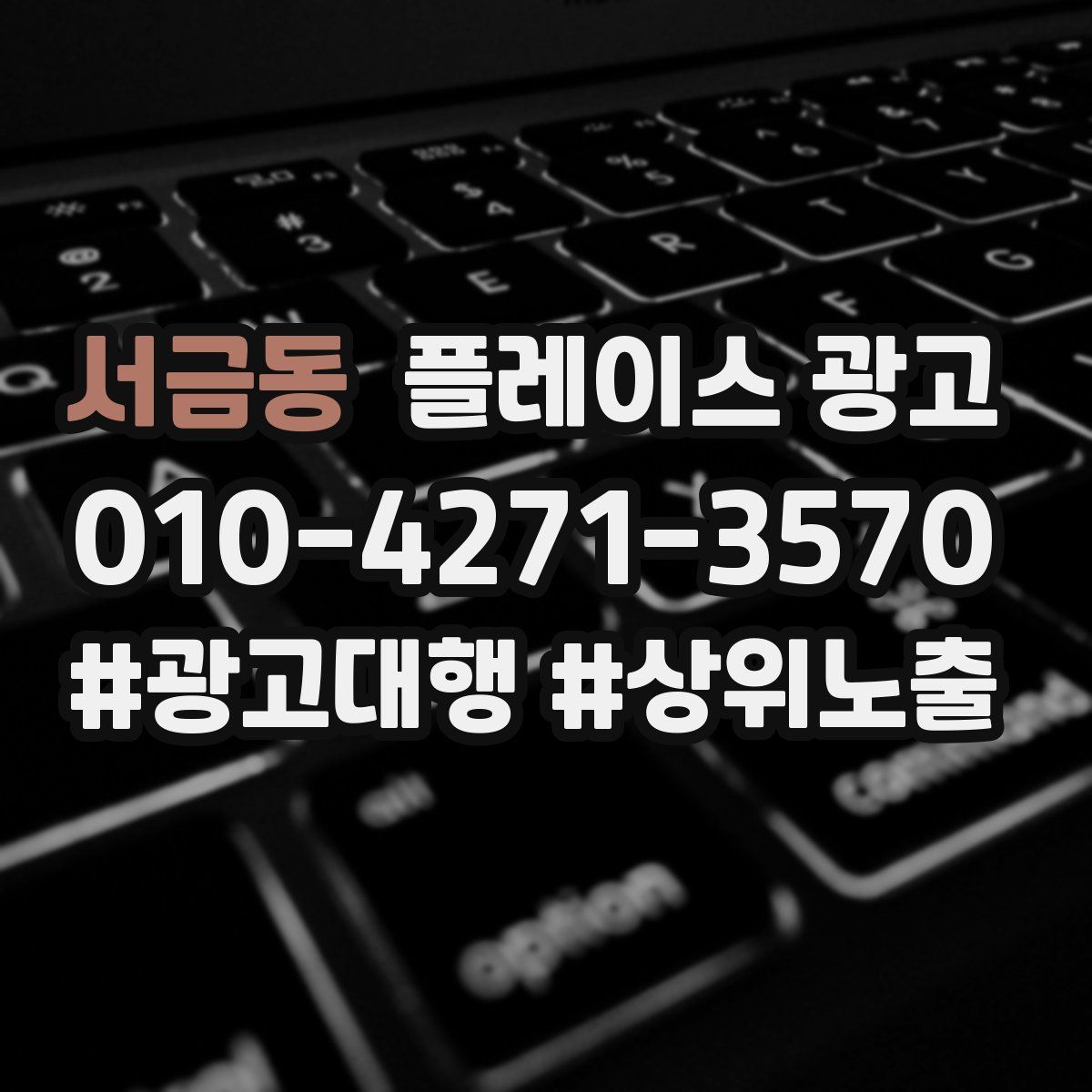 서금동 플레이스 광고