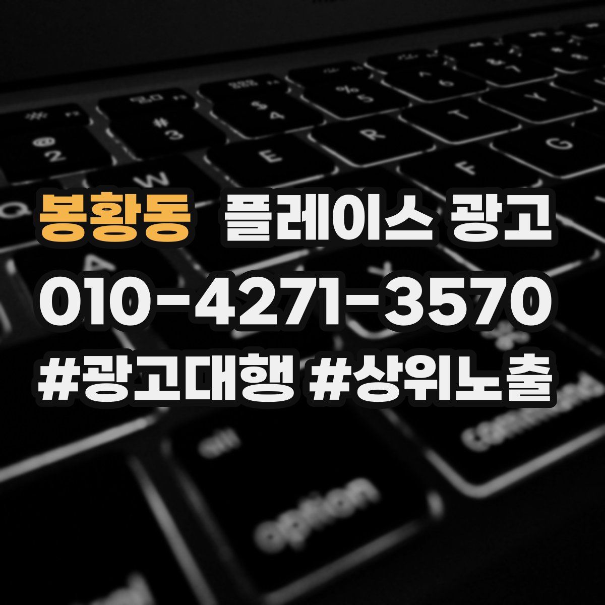 봉황동 플레이스 광고
