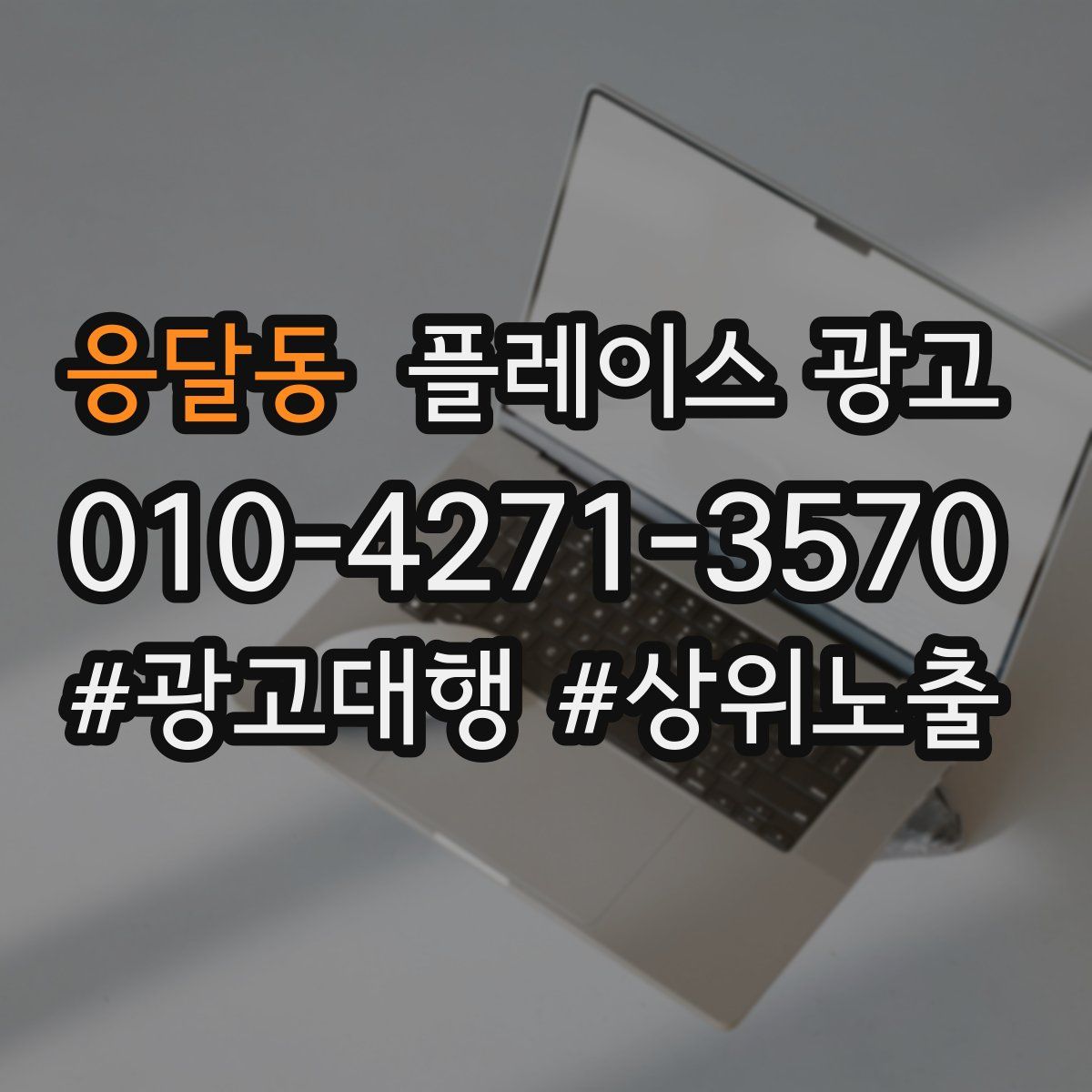 응달동 플레이스 광고