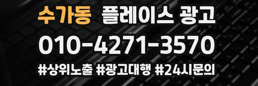 수가동 플레이스 광고