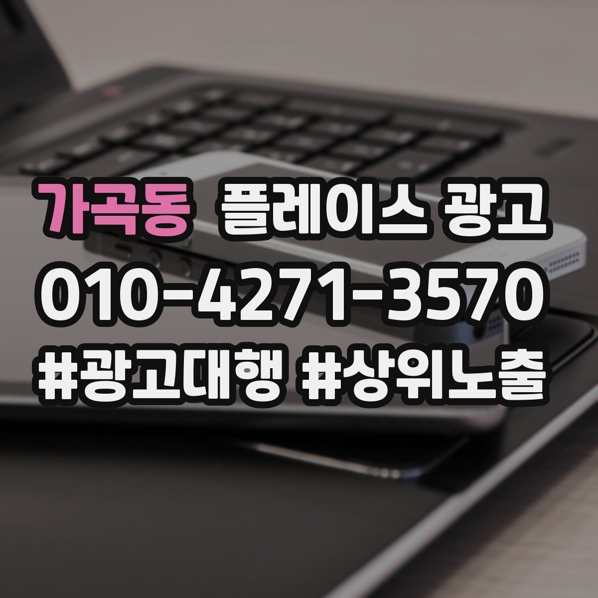 가곡동 플레이스 광고