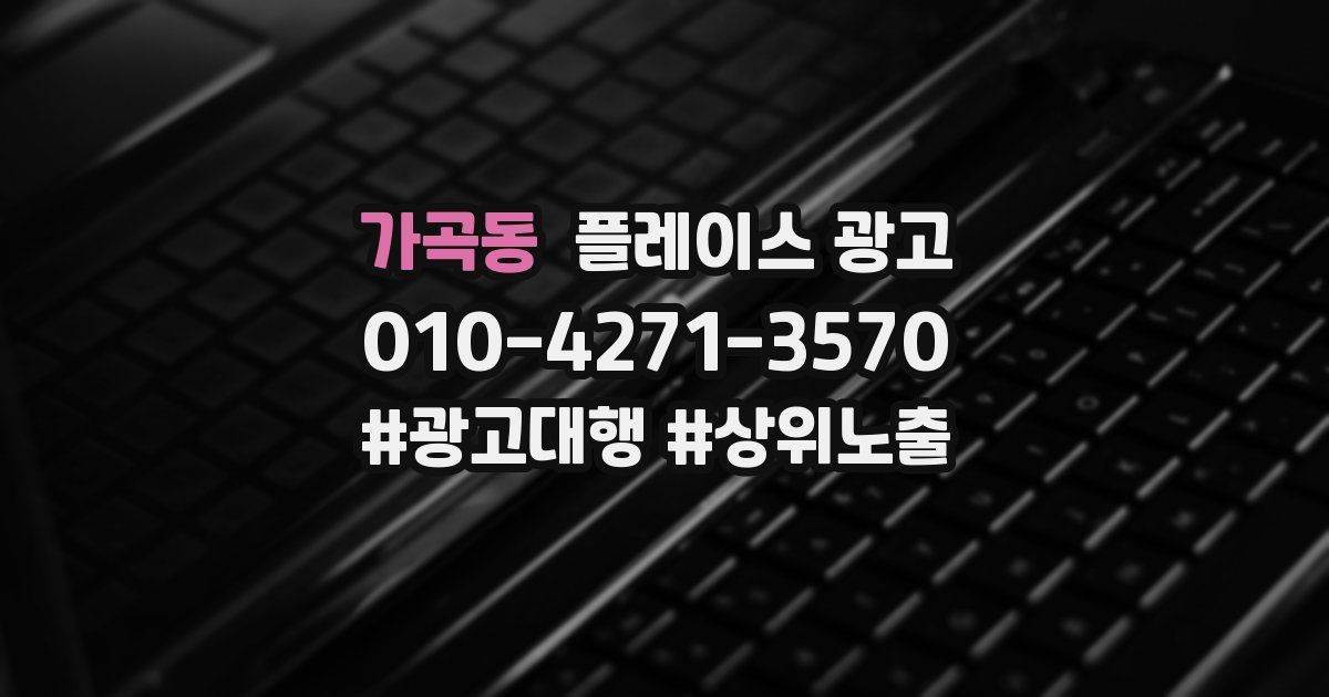 가곡동 플레이스 광고