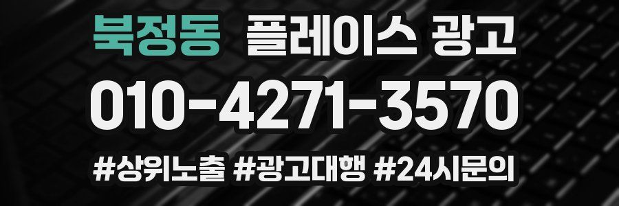 북정동 플레이스 광고