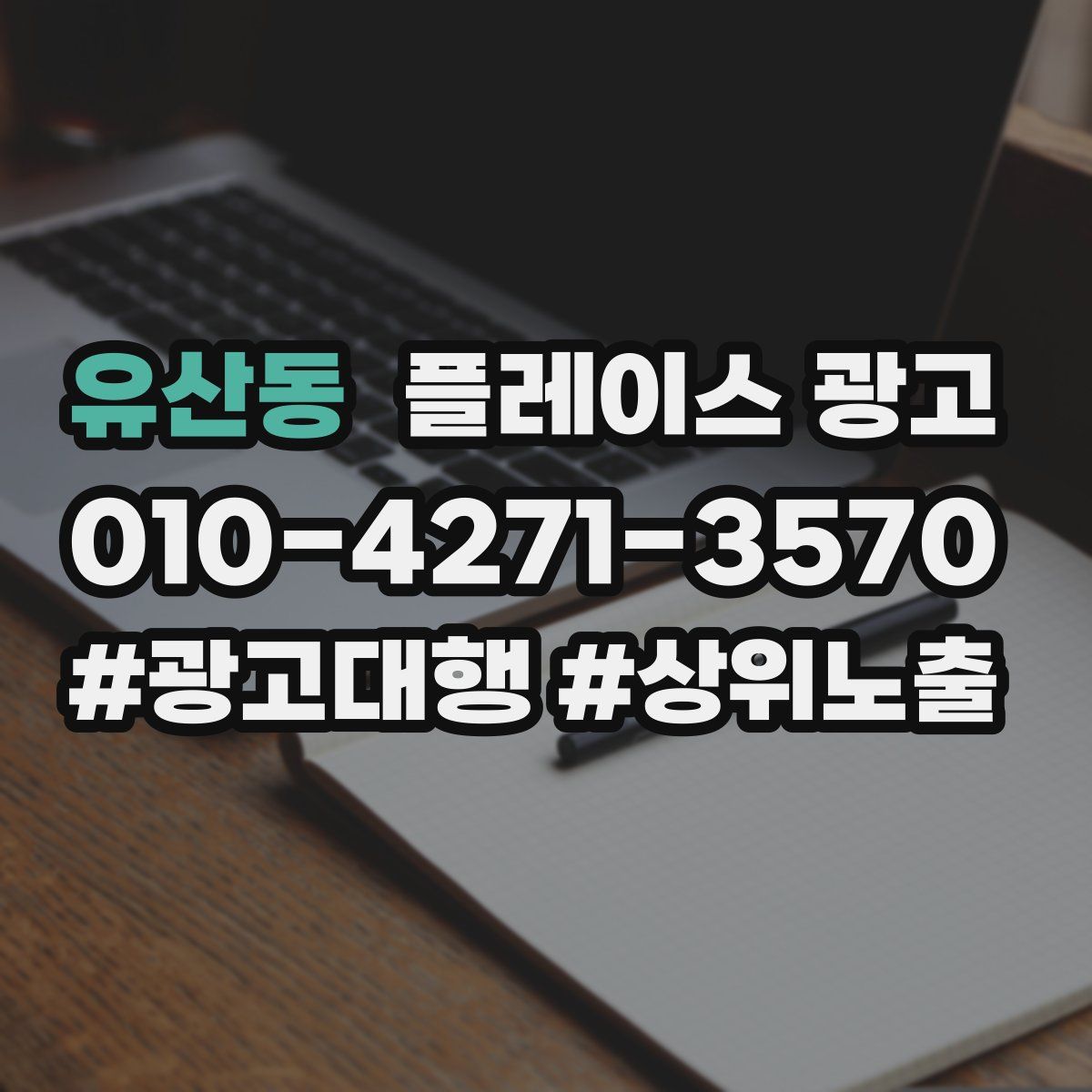 유산동 플레이스 광고