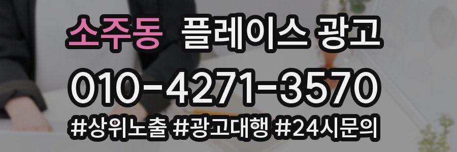 소주동 플레이스 광고