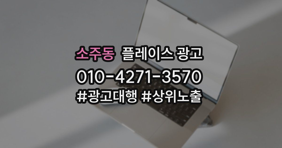 소주동 플레이스 광고