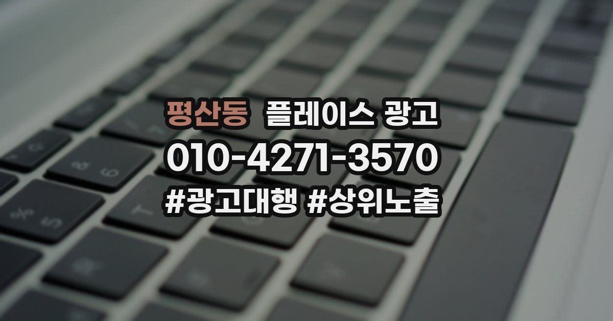 평산동 플레이스 광고