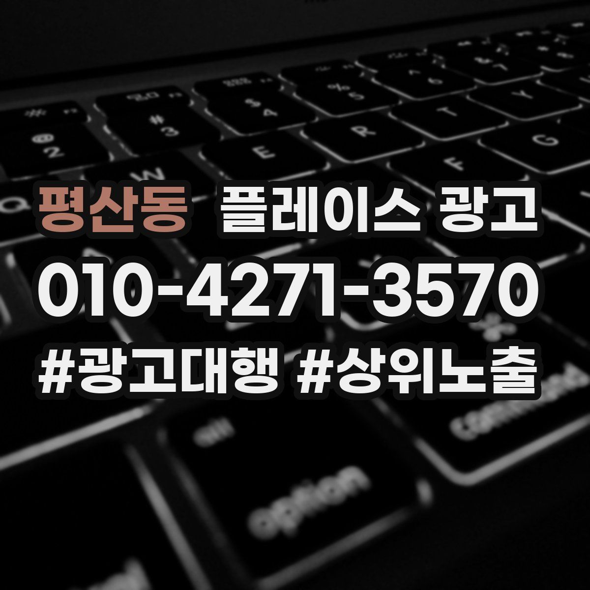 평산동 플레이스 광고