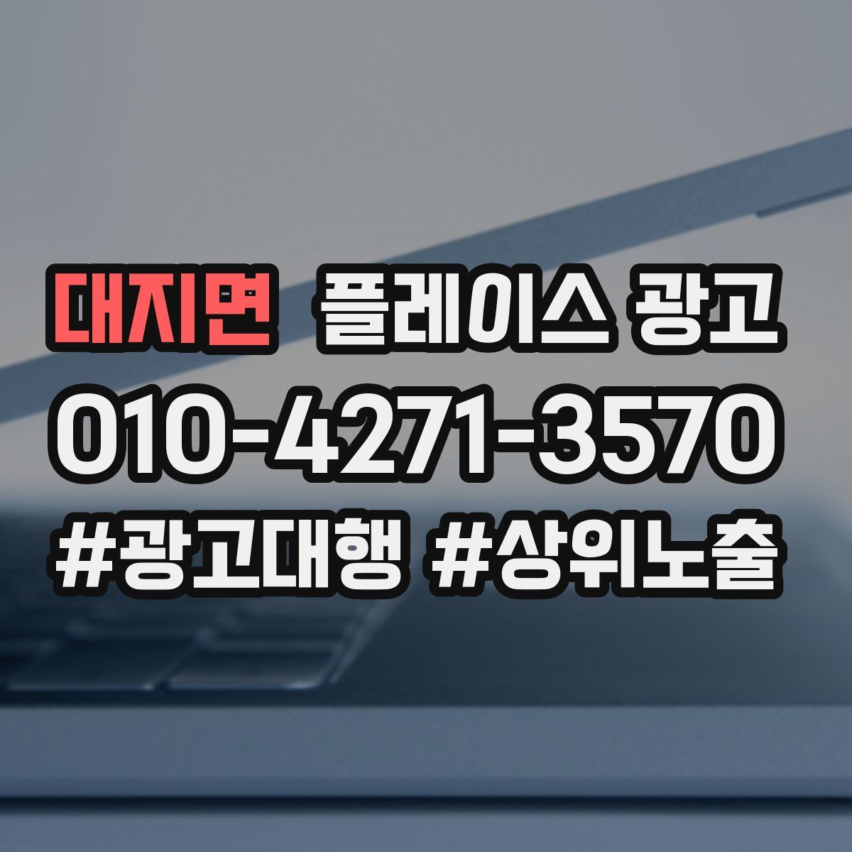 대지면 플레이스 광고