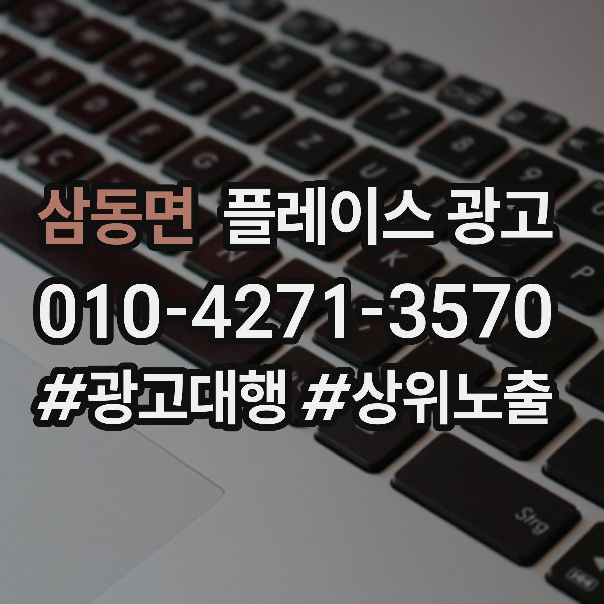 삼동면 플레이스 광고
