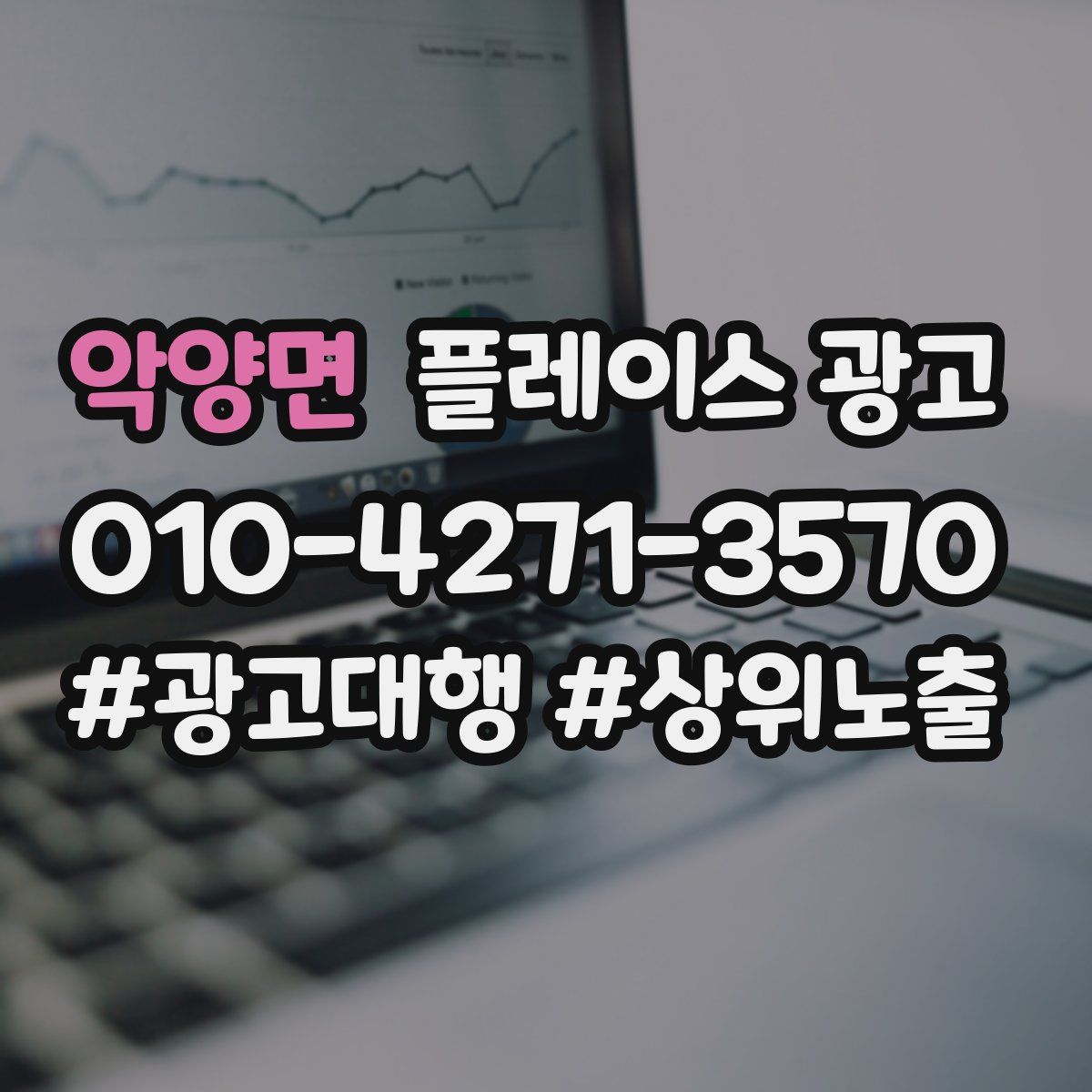 악양면 플레이스 광고