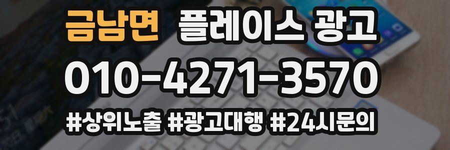 금남면 플레이스 광고
