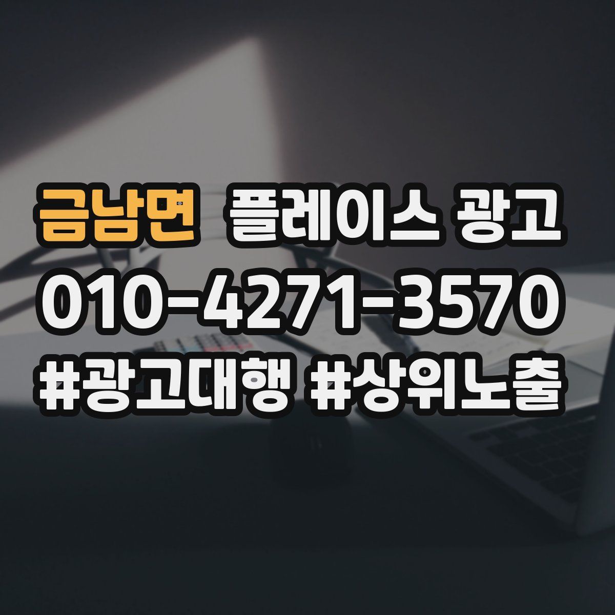 금남면 플레이스 광고