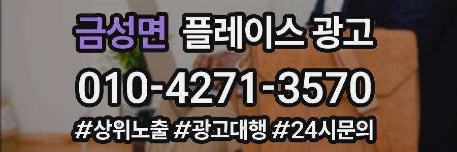 금성면 플레이스 광고