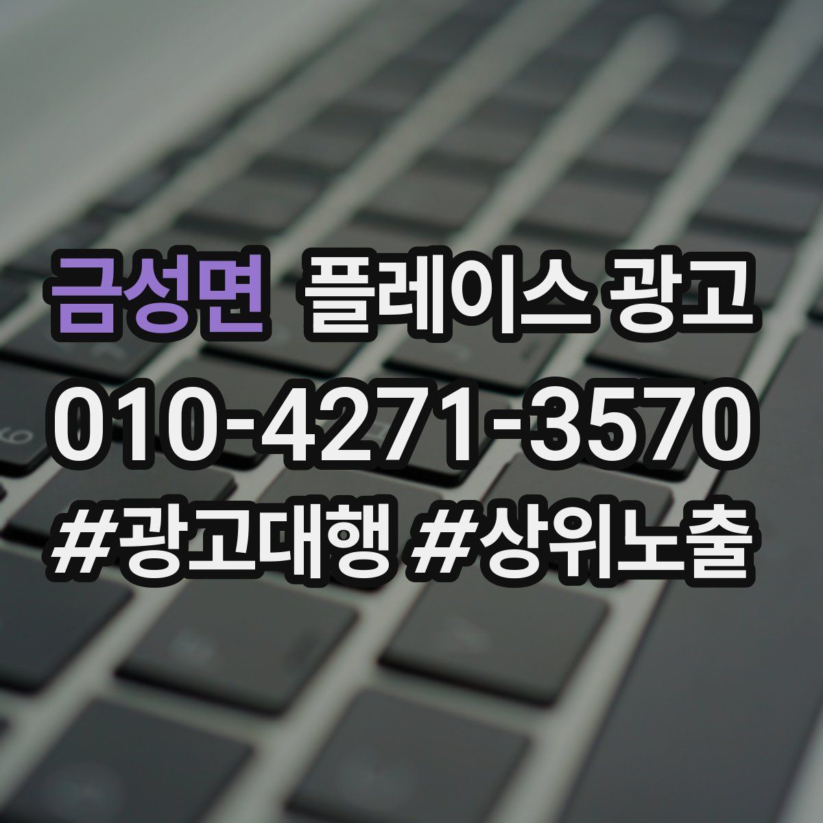 금성면 플레이스 광고