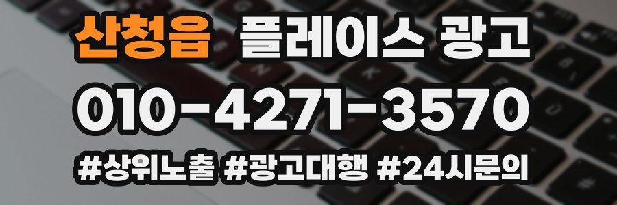 산청읍 플레이스 광고