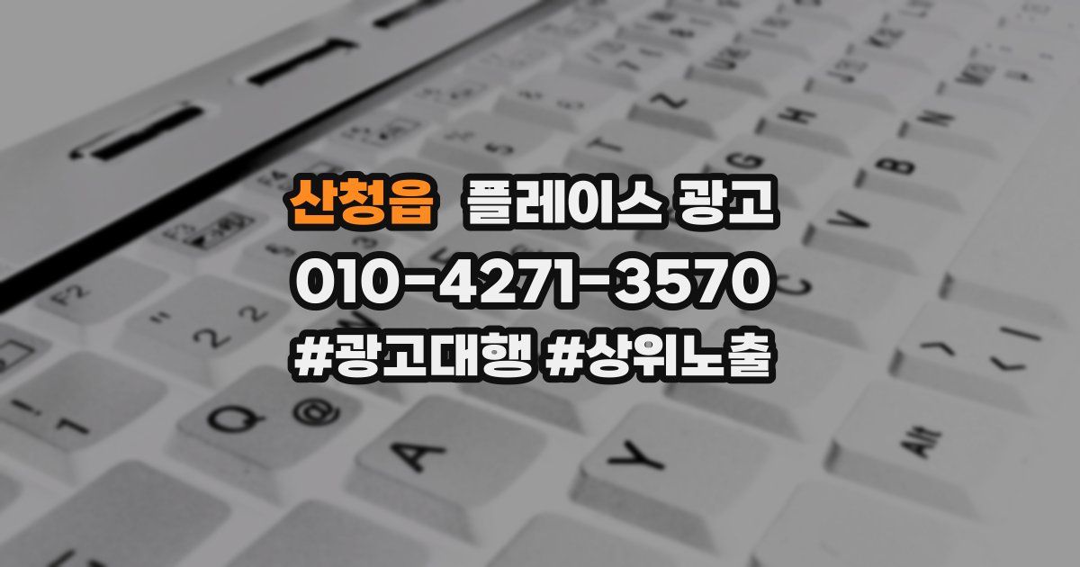 산청읍 플레이스 광고