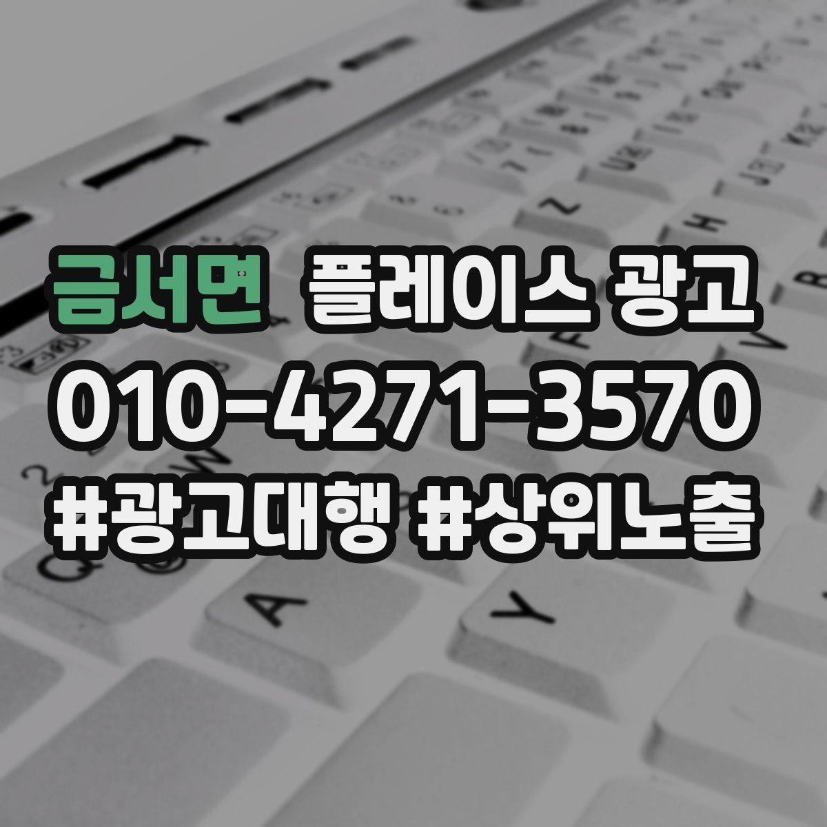금서면 플레이스 광고