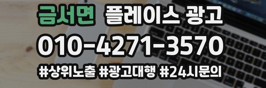 금서면 플레이스 광고