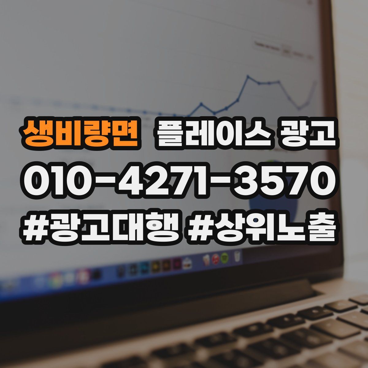 생비량면 플레이스 광고