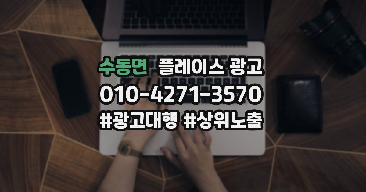수동면 플레이스 광고