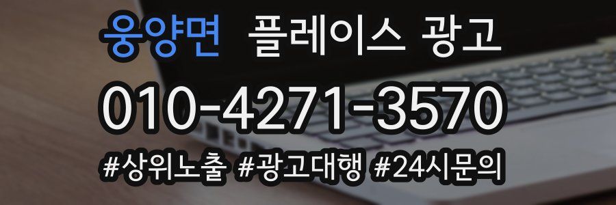 웅양면 플레이스 광고