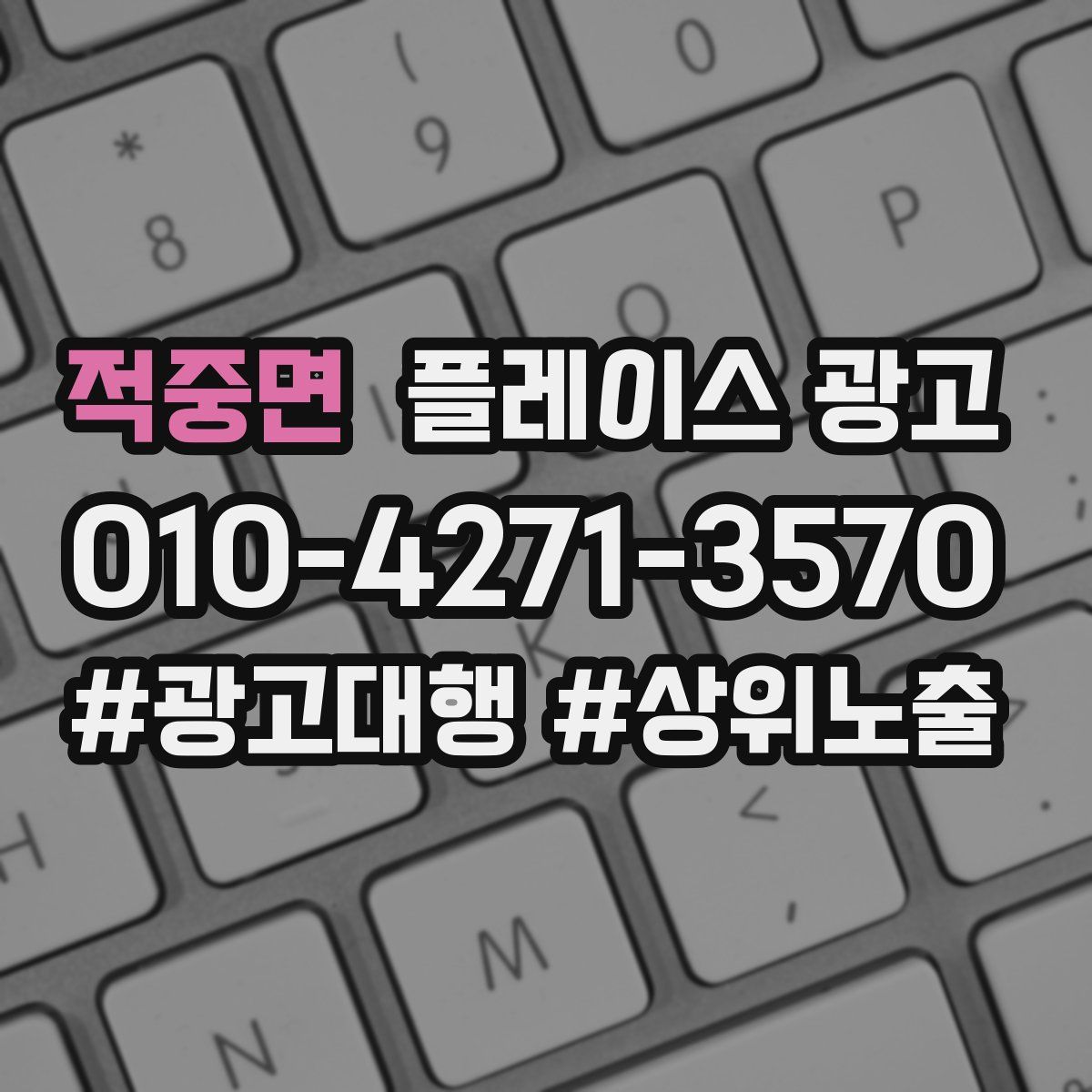 적중면 플레이스 광고