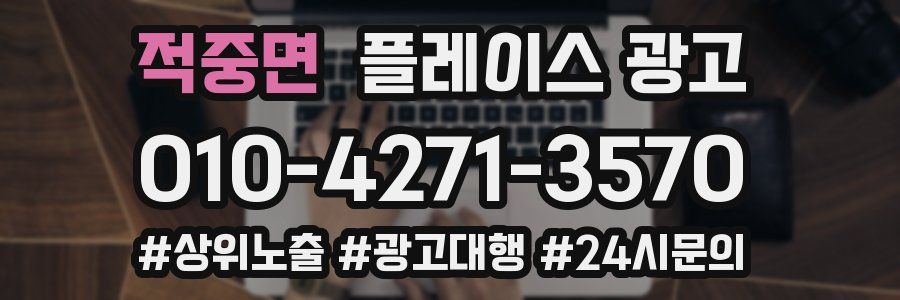 적중면 플레이스 광고