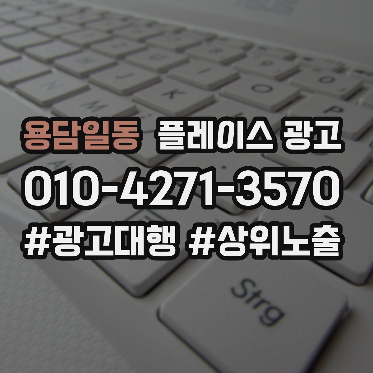 용담일동 플레이스 광고