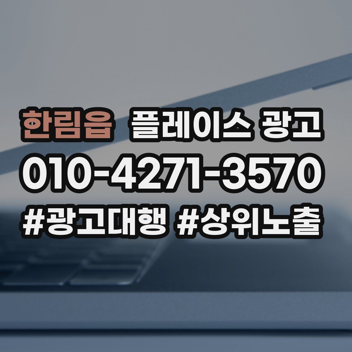 한림읍 플레이스 광고