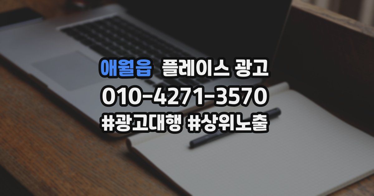 애월읍 플레이스 광고
