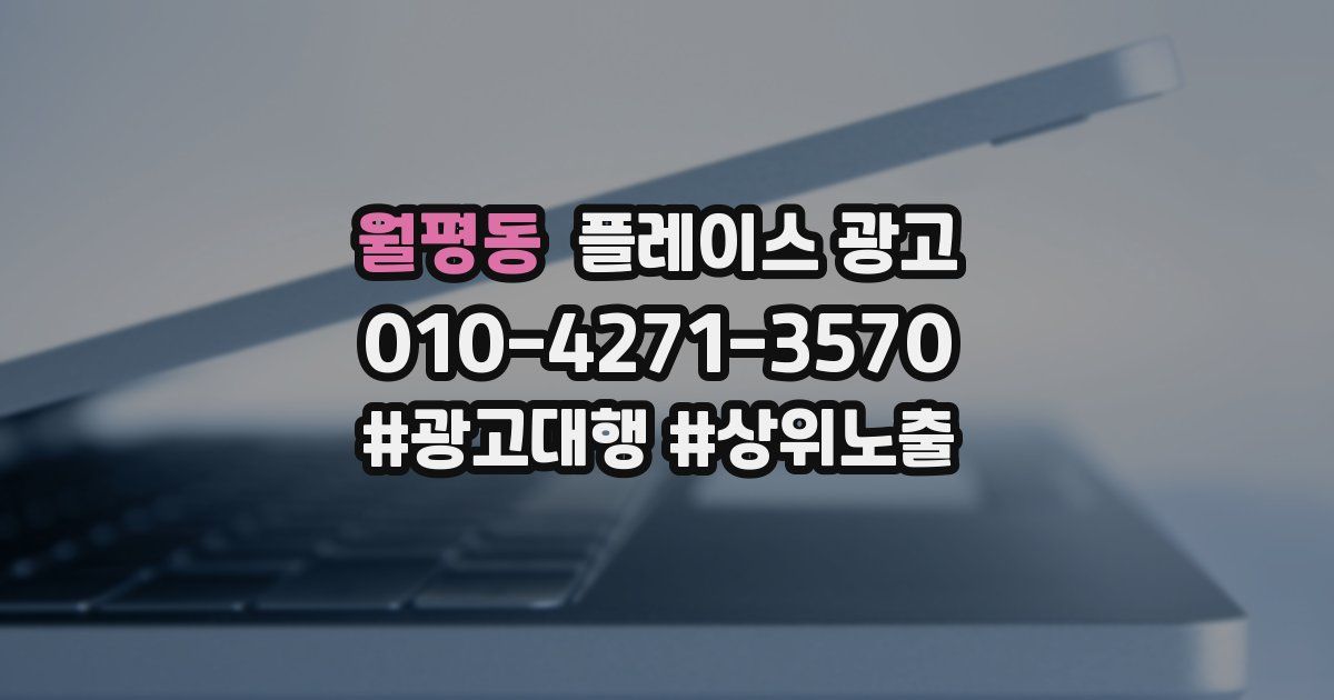월평동 플레이스 광고