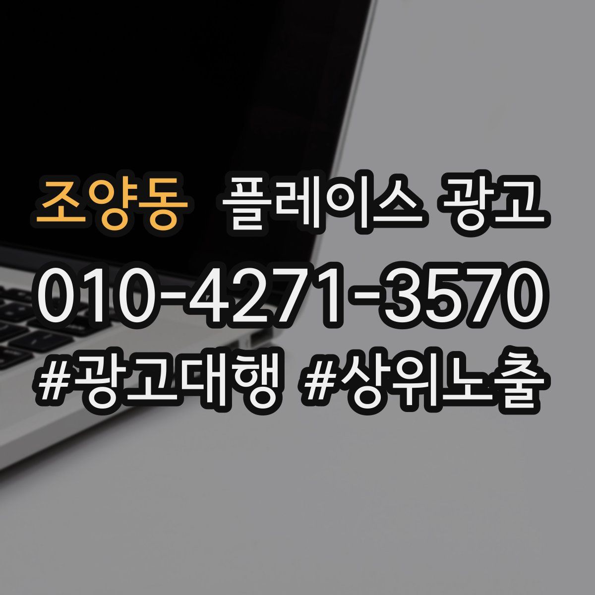 조양동 플레이스 광고