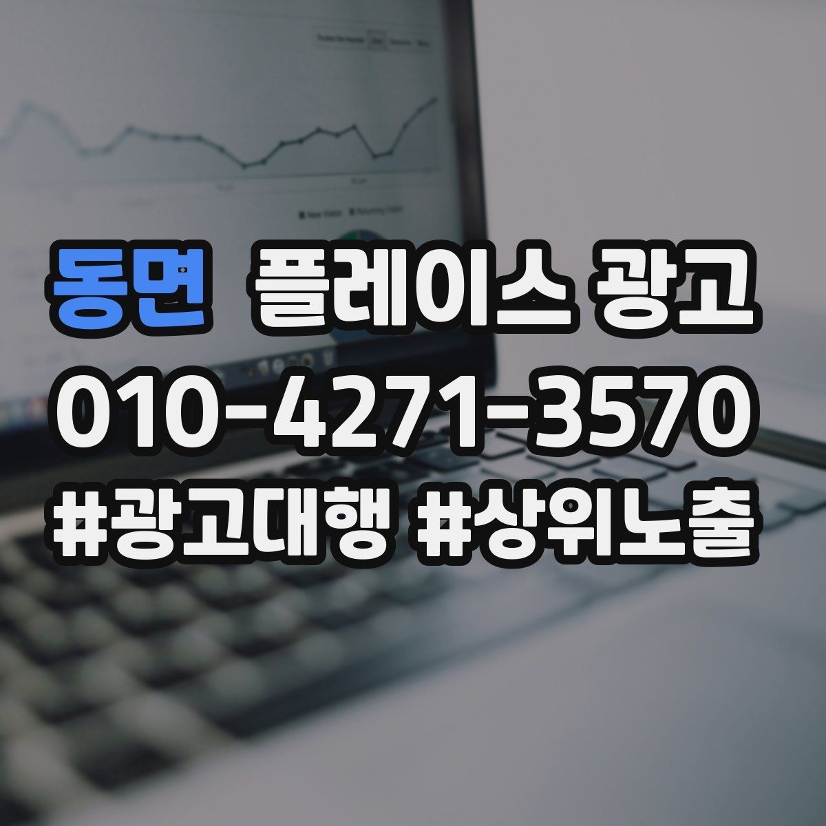 동면 플레이스 광고 예약 링크 오류가 날 때 체크 포인트