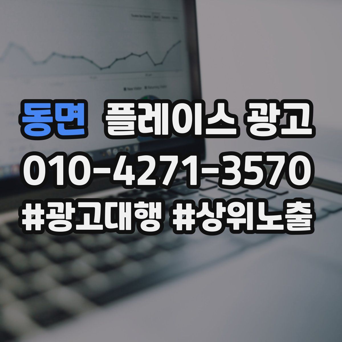 동면 플레이스 광고