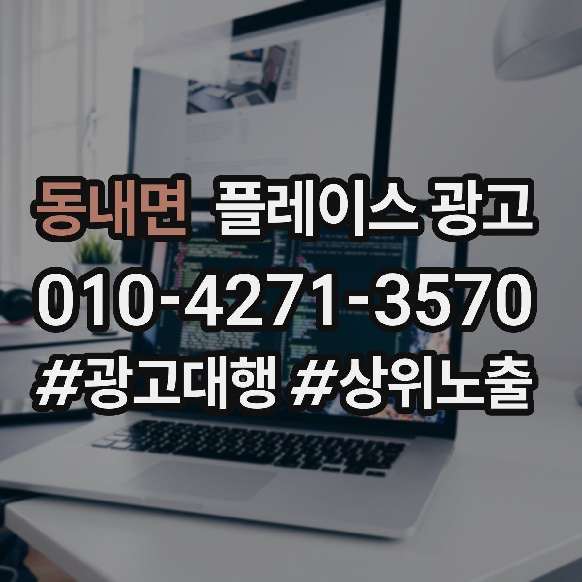 동내면 플레이스 광고