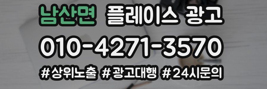 남산면 플레이스 광고