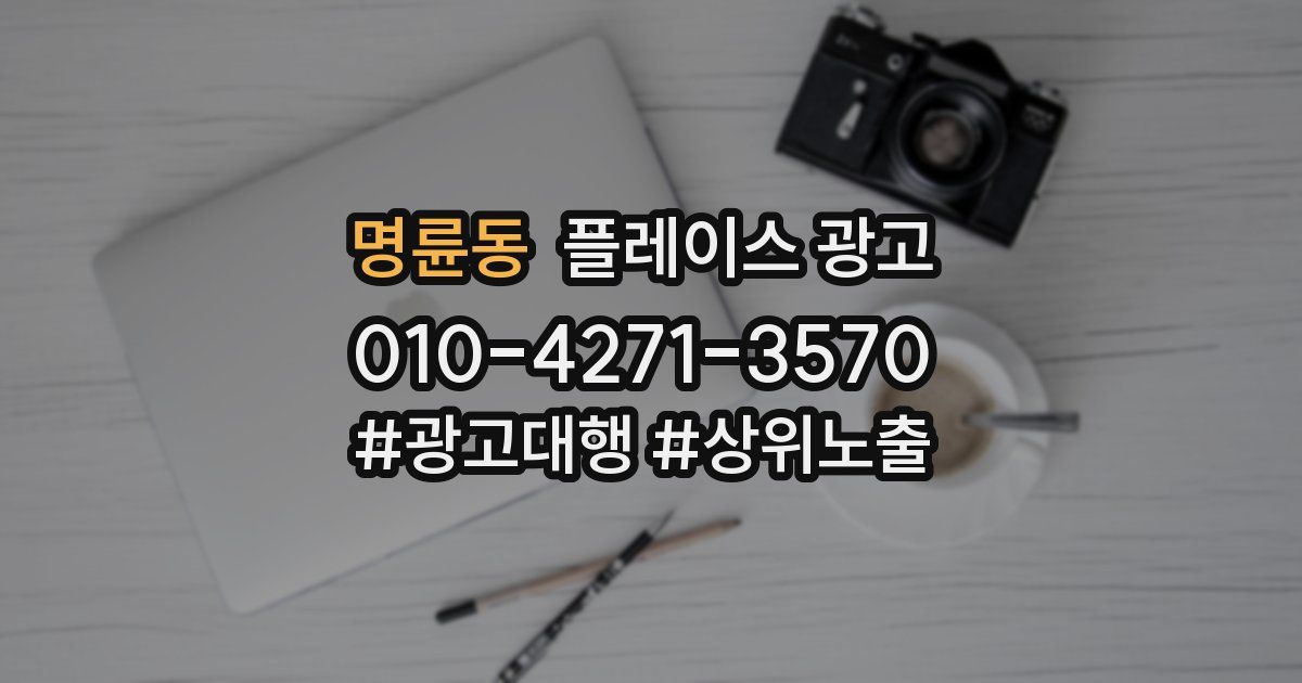 명륜동 플레이스 광고