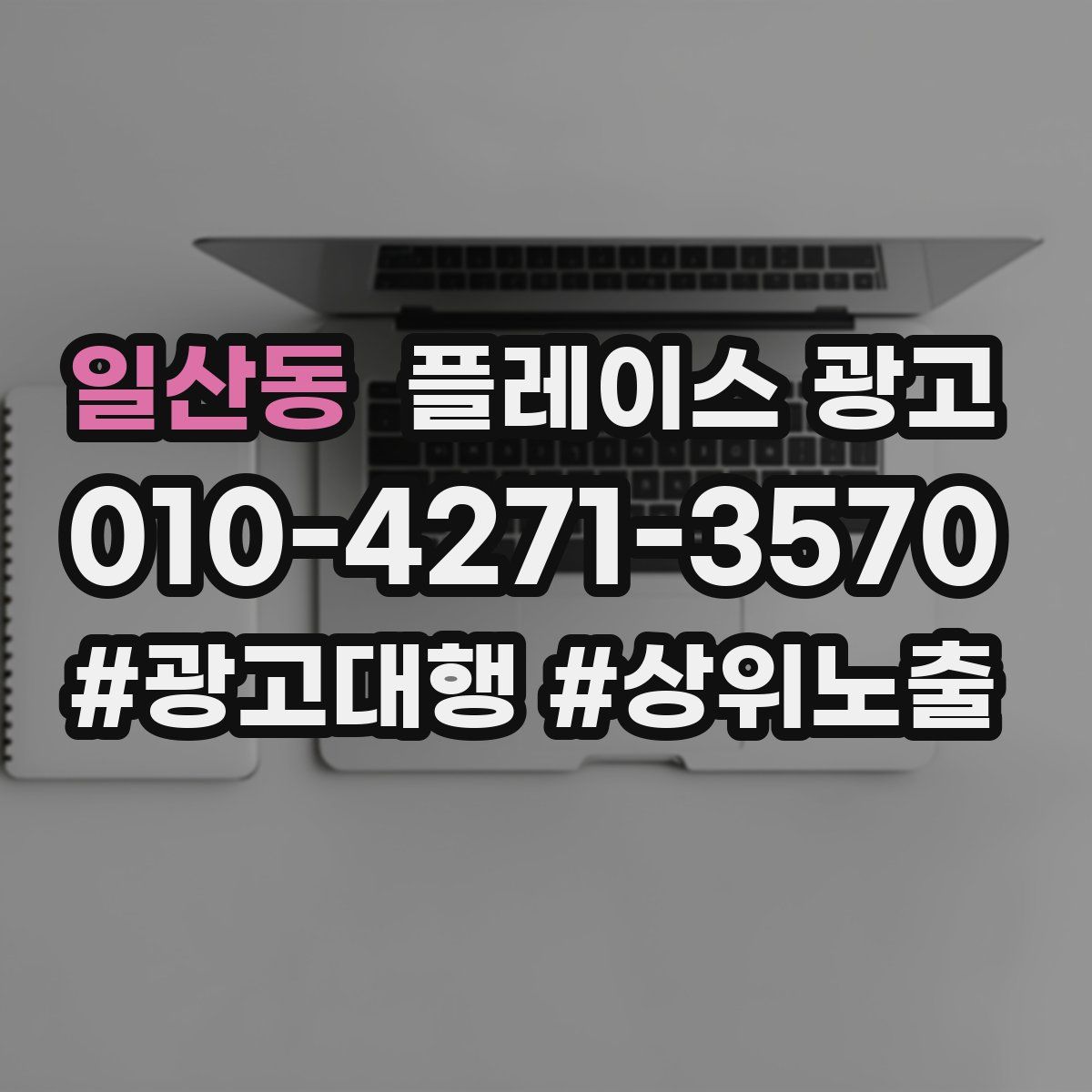 일산동 플레이스 광고