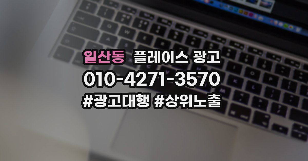 일산동 플레이스 광고