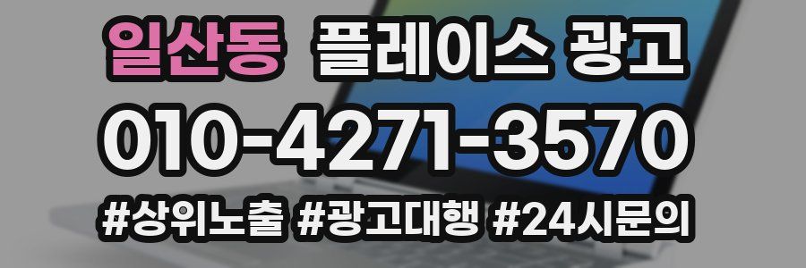 일산동 플레이스 광고