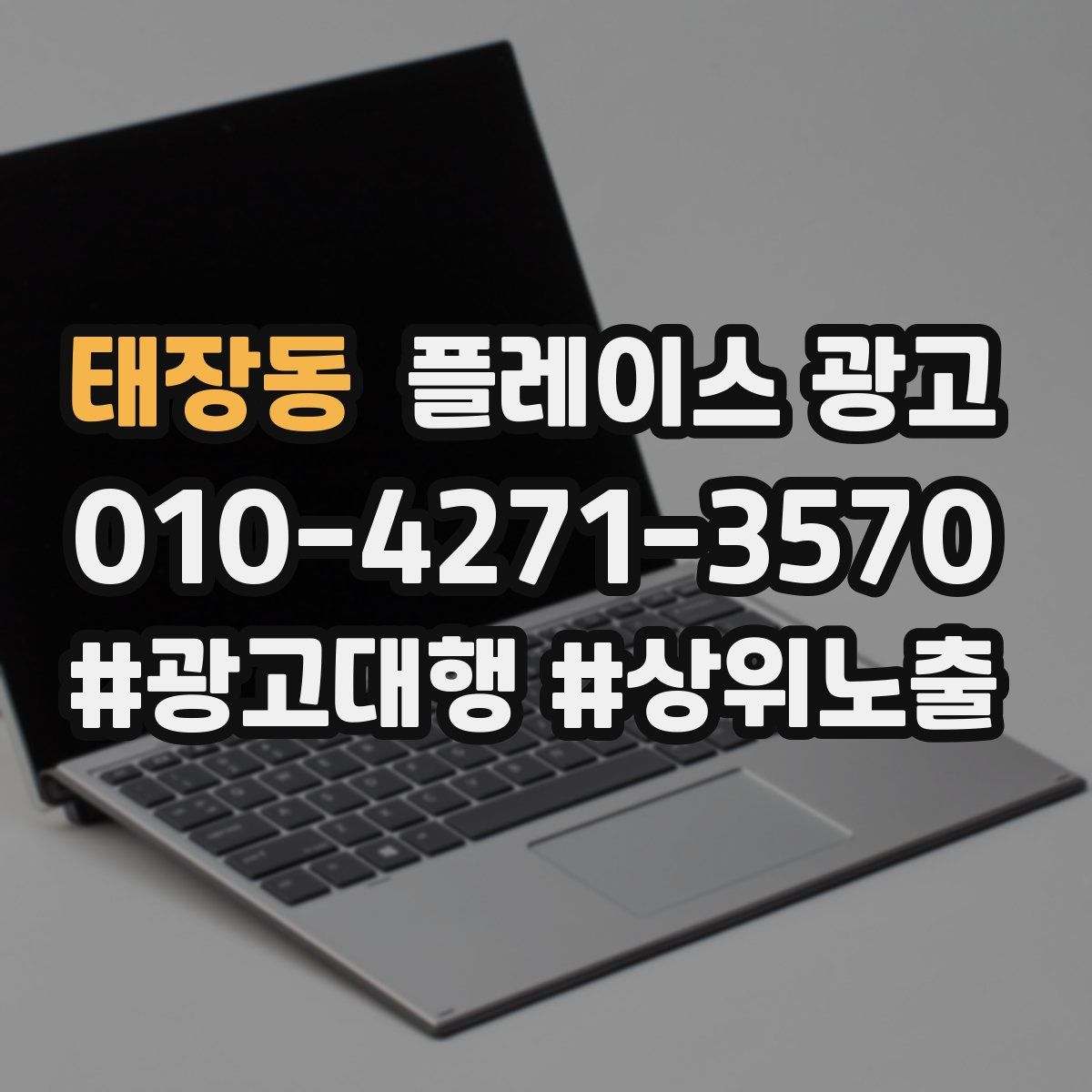 태장동 플레이스 광고