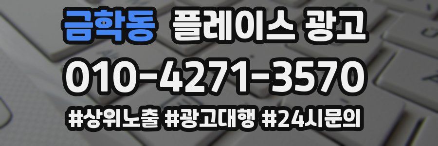금학동 플레이스 광고