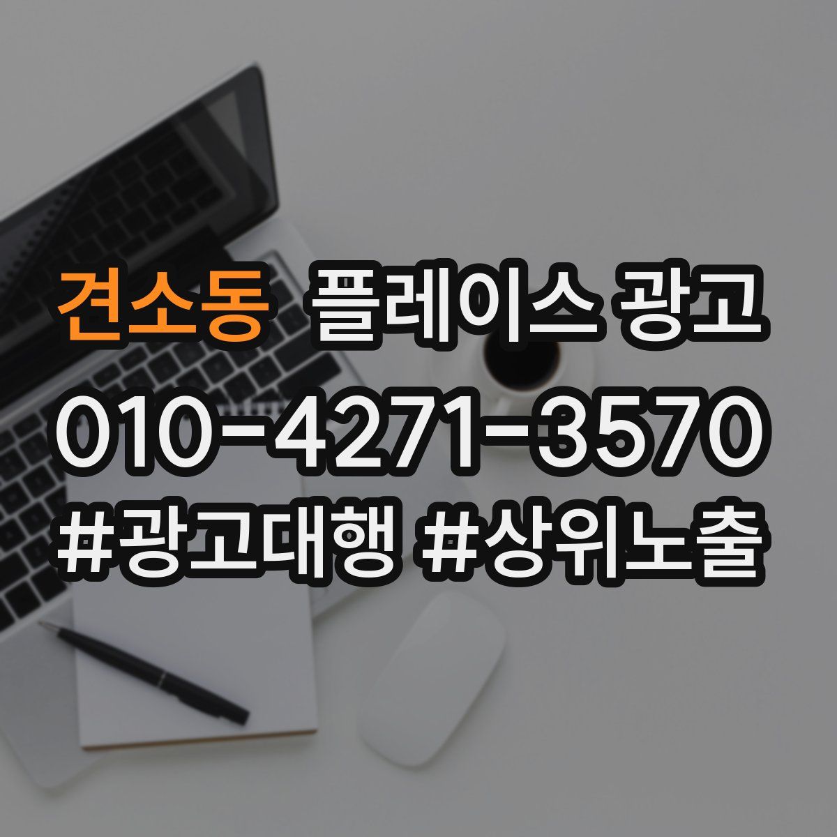 견소동 플레이스 광고