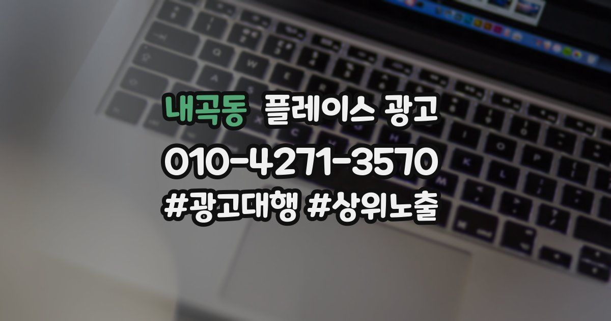 내곡동 플레이스 광고
