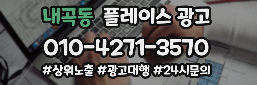 내곡동 플레이스 광고