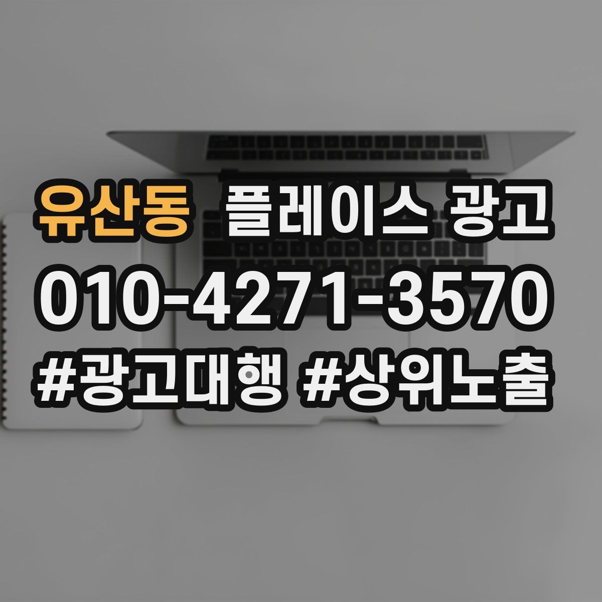 유산동 플레이스 광고