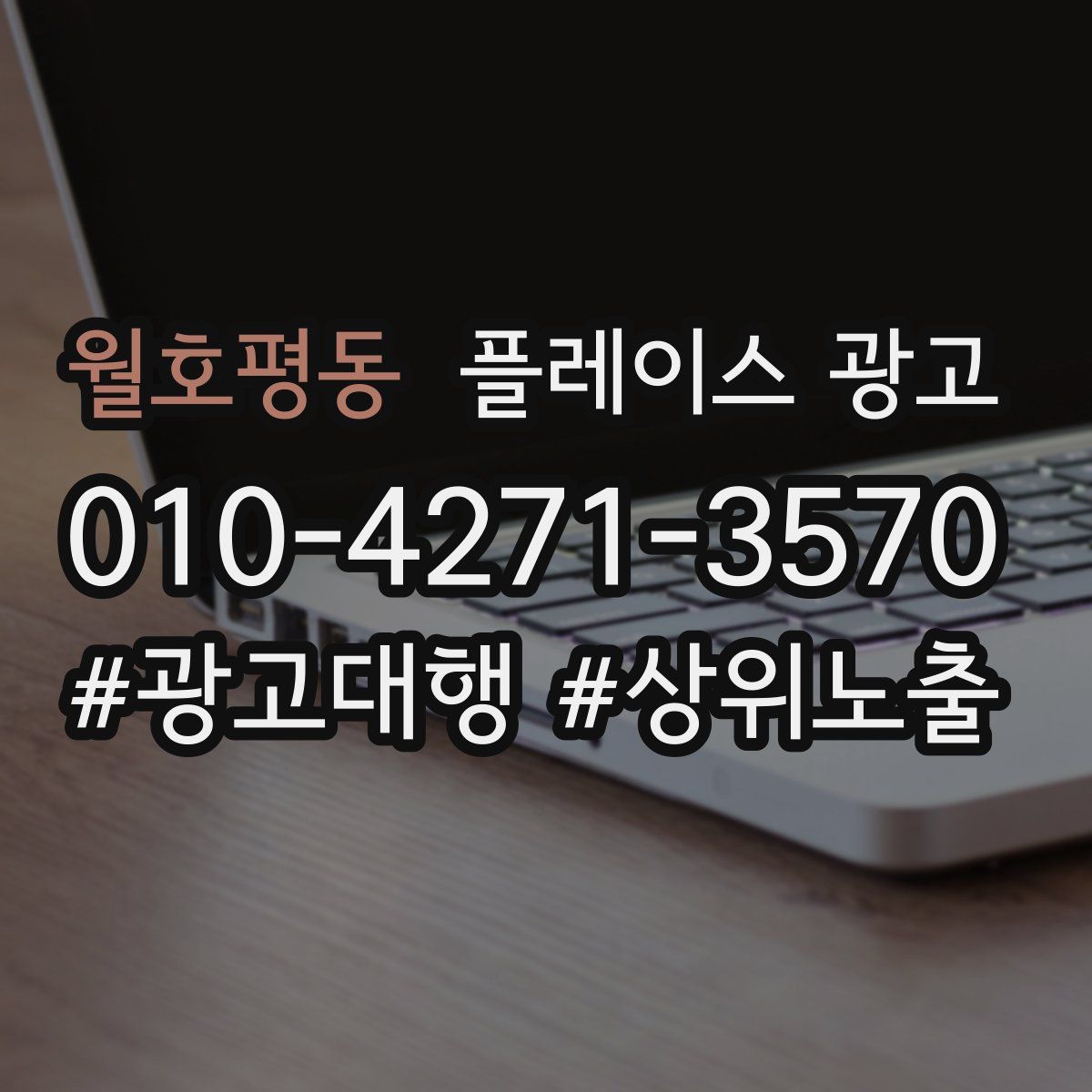 월호평동 플레이스 광고