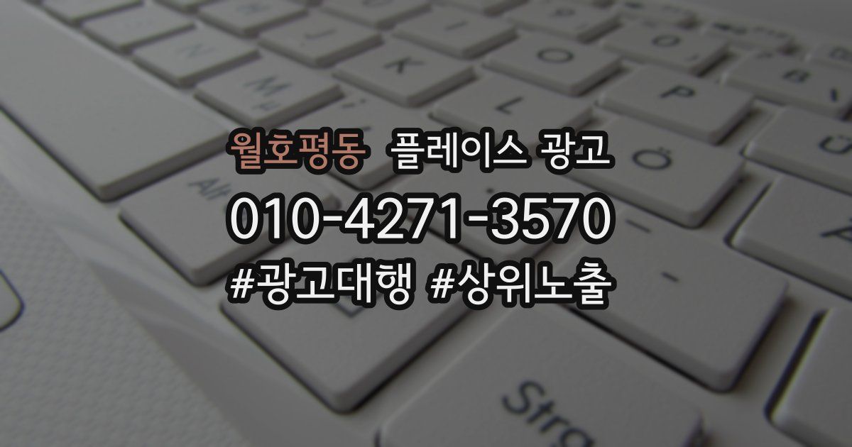 월호평동 플레이스 광고